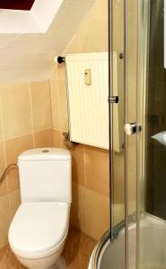 イェレニャ・グラにあるKamienicaの小さなバスルーム(トイレ、シャワー付)