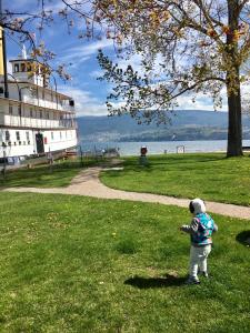 Ein Hund steht im Gras neben einem Boot in der Unterkunft Black Sea Motel in Penticton