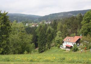AltreichenauにあるBayerwaldblickの花畑の家