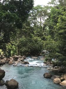 a river with rocks and trees in a forest at La Piña, Rio Celeste in Rio Celeste