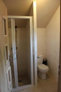 a bathroom with a toilet and a shower at Domek "Madzia" in Brenna +6 photos