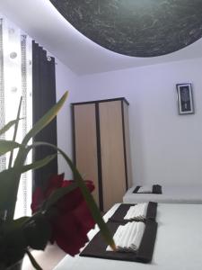 a room with a bed and a potted plant at Apartments Aza in Dobra Voda