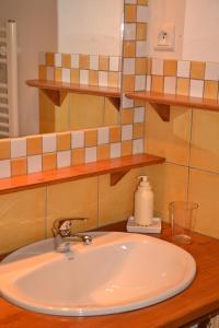 La salle de bains est pourvue d'un lavabo et d'un miroir. dans l'établissement Le hameau de Robert, à Boucieu-Le-Roi