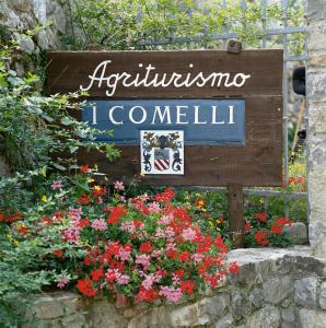 Vottorð, verðlaun, skilti eða annað skjal til sýnis á Agriturismo I Comelli
