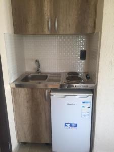 Kuchyň nebo kuchyňský kout v ubytování Guesthouse Liamra