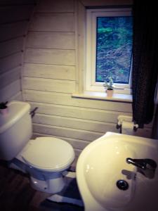 a bathroom with a toilet and a sink and a window at Carrigeen Glamping in Kilkenny