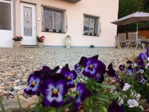 a row of flowers in front of a building at IL CILIEGIO B&B in Stresa