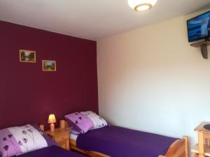 a bedroom with two beds and a purple wall at Agroturystyka SKALNE in Szczawa +29 photos