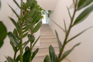 Fotografie z fotogalerie ubytování B&B MARSALA v destinaci Marsala