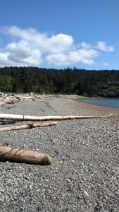 a group of logs laying on a rocky beach at Nestledown B&B in Halfmoon Bay