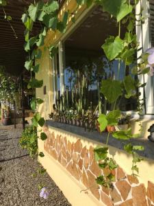 Zahrada ubytování Ming Shui Lu Homestay