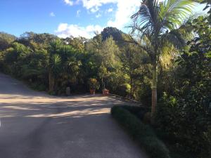 Gallery image of Puka Heights in Pauanui