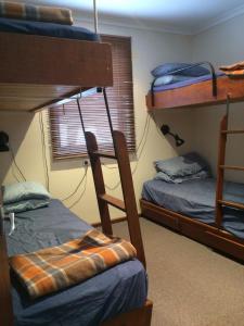 a room with two bunk beds and a window at Gliss Ski Club in Mount Buller