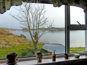 una ventana con vistas a un árbol y al agua en The Lake House, Connemara en Knock