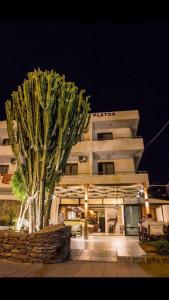 
a large tree in front of a large building at Hotel Platon in Faliraki
