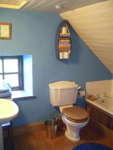 a blue bathroom with a toilet and a sink at Clooncorraun Cottage in Ballinrobe