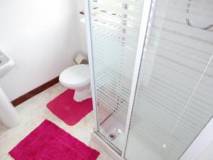 a bathroom with a toilet and a glass shower at Hideaway in Ballinrobe