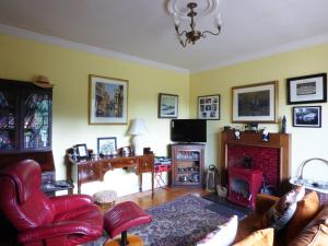 a living room with a couch and a fireplace at Maifield in Mullennaglogh