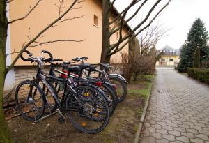 Billede fra billedgalleriet på Janza Apartman i Bük