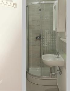 W łazience znajduje się prysznic i umywalka. w obiekcie Green Eden w mieście Gornji Zvečaj