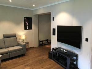TV a/nebo společenská místnost v ubytování Olden apartments 1