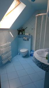 a blue bathroom with a toilet and a sink at Lesna Polana in Augustów