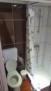 ein kleines Bad mit einem WC und einer Dusche in der Unterkunft Residencia Mateus in Faja Grande