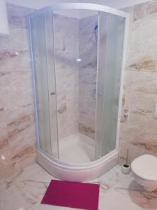 ein Bad mit einer Dusche, einem WC und einem Teppich in der Unterkunft Apartmani Sladic in Skradin
