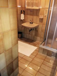 La salle de bains est pourvue d'un lavabo et d'une douche. dans l'établissement Gasthof Tischlerwirt, à Kitzeck im Sausal