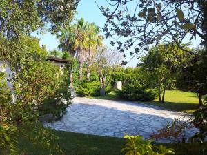 a garden with a stone pathway with a palm tree at La Villa Apartments in Torre dell'Orso