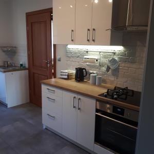 Kuchnia lub aneks kuchenny w obiekcie Apartament w lesie