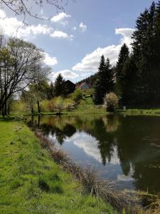 uma massa de água junto a um campo com árvores em Ferienwohnung Fuchsblick em Altenau