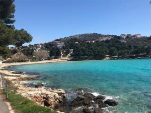 a view of a beach with blue water and trees at Apartmani Silvano in Murter
