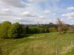 ein Feld mit einem Zaun und Bäumen in der Ferne in der Unterkunft gite chez Régine in Marcenat