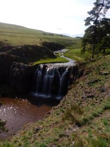 a waterfall on the side of a river at gite chez Régine in Marcenat