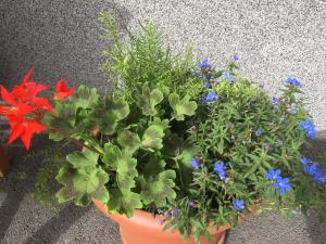 una maceta de flores sentada junto a una pared en Ferienwohnung Walder, en Mayrhofen