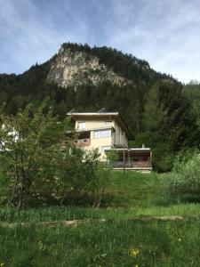 una casa en un campo con una montaña en el fondo en Ferienwohnung Walder, en Mayrhofen