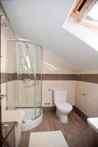 ザヴァラティサにあるNerica Apartmentのバスルーム(トイレ、ガラス張りのシャワー付)