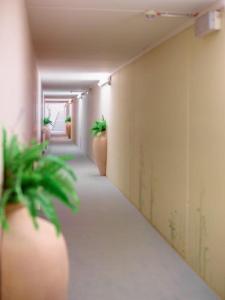 Foto sihtkohas Bad Windsheim asuva majutusasutuse Kurhotel Pyramide Bad Windsheim galeriist