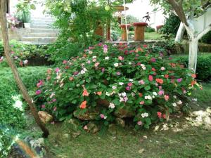 Fotografie z fotogalerie ubytování Villa Exotica v destinaci Balchik