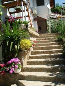 a set of stone stairs in front of a house with flowers at Villa Exotica in Balchik