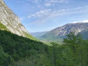 a view of a valley with trees and mountains at Apartments & Rooms Stare in Bohinj