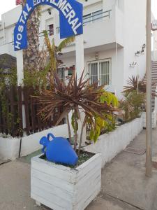 Fotografie z fotogalerie ubytování H El Palmeral Playa v destinaci Mojácar