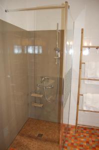 a shower with a glass door in a bathroom at La Ferme de Laupilière in Sarrazac