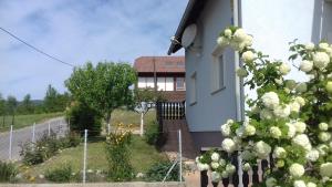 Zahrada ubytování Apartment Dolores