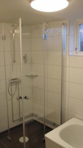 uma casa de banho com um chuveiro e um lavatório. em Eriks Bädd och Pentry em Hillerstorp