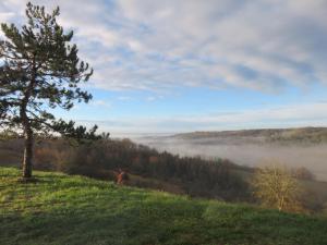 un árbol en una colina con niebla en el valle en Gîtes Dans une Maison d'hôtes "Lieu Dit Cruzel" en Moissac