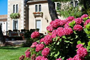 Zahrada ubytování Le Mas de l'Espérance - Chambres d'hôtes de Prestige