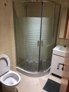 a bathroom with a shower stall and a toilet at Marina Golf Appart Chez Hicham in Asilah +10 photos