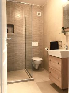 a bathroom with a shower and a toilet and a sink at Apartment Adi in Travnik